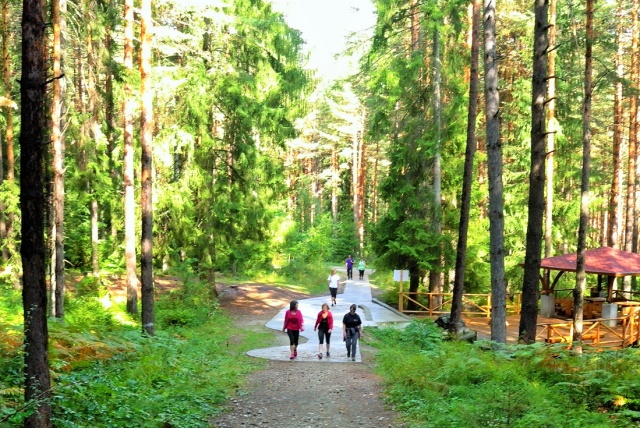 [:bg]Участниците са на поход в планина Рила[:en] Participants on a hike in Rila[:]