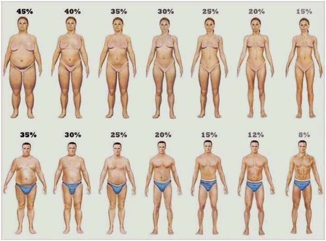 WHY THE PERCENTAGE OF FAT INCREASES?
