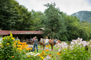 [:bg]Езда в планината[:en]Horse-riding in the mountain[:]