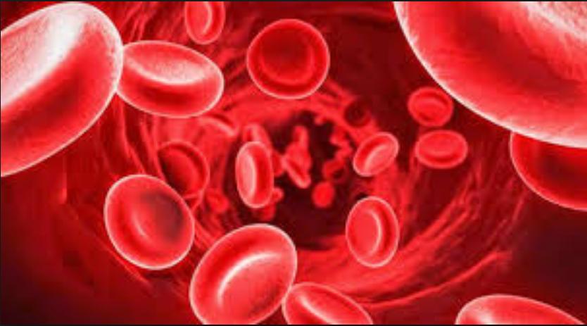 Пречистване на кръвта чрез Аюрведа | LuckyFit
