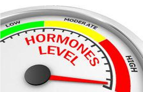 Metabolism and weight loss