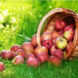 How to Purify Your Blood