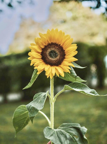 Is Fast Detox Healthy?