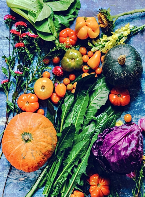 Is Fast Detox Healthy?