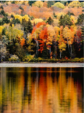 Detox for the four seasons