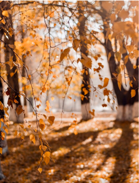 Detox for the four seasons