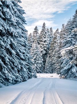 Detox for the four seasons