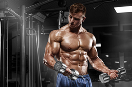 Workout for the whole body or its division into muscle groups?