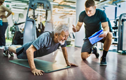 Workout for the whole body or its division into muscle groups?