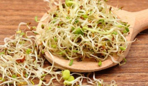 10 superfoods for better life and health