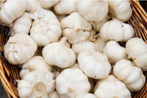 10 superfoods for better life and health