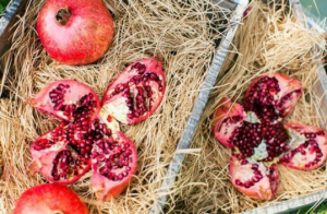 10 superfoods for better life and health