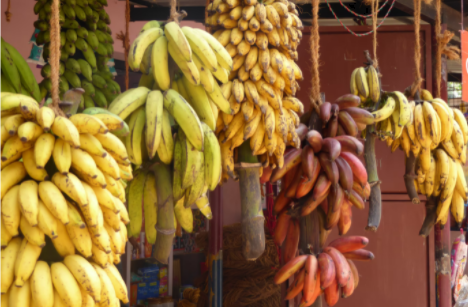 Защо да ядем по 2 банана дневно: 10+ уникални ползи за здравето
